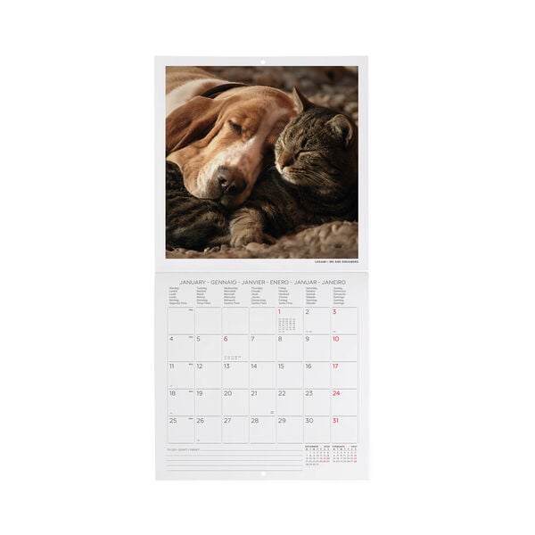 Calendario da Parete 2027 - 18 x 18 cm - Best Friends