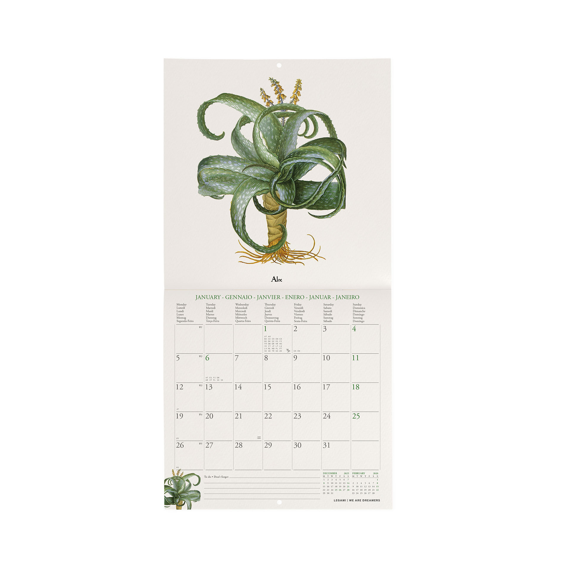 2026 Wall Calendar - 18 x 18 cm