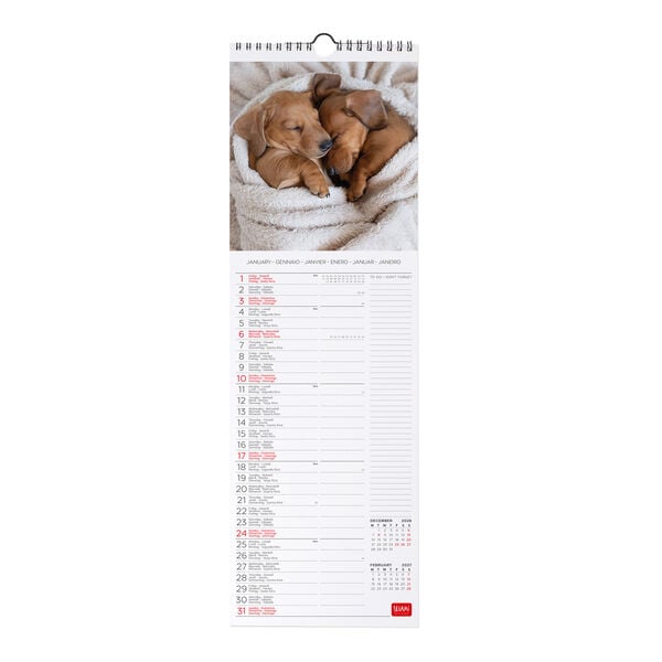 Calendario da Parete 2027 - 16 x 49 cm - Puppies