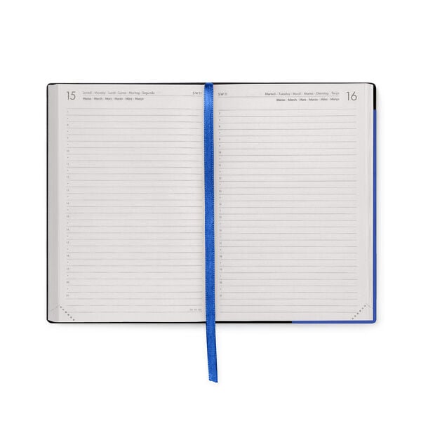 Agenda Diaria 2026/2027 16 Meses - Eclectic Blue - Medium