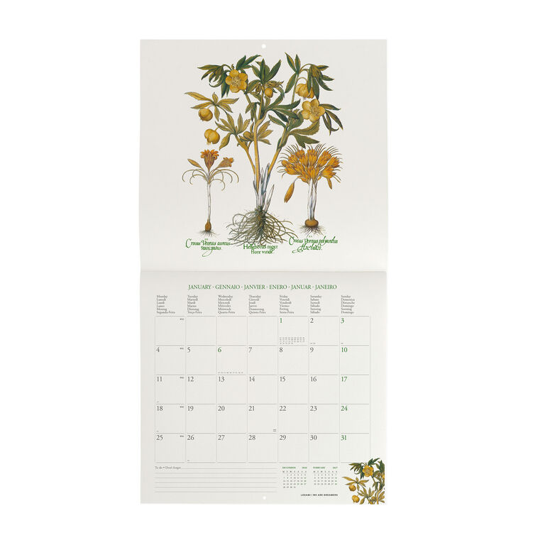 Herbarium 2027 Wall Calendar - 30 x 29 cm Herbarium 2027 Wall Calendar - 30 x 29 cm
