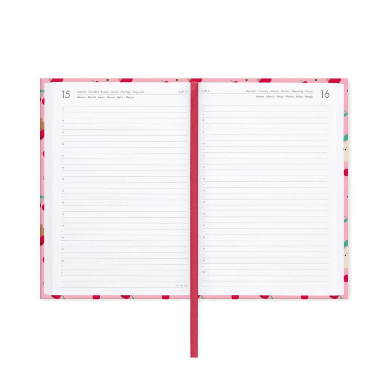 16-Month Daily Photo Diary for 2026/2027 - Teddy Bear Pink - Medium