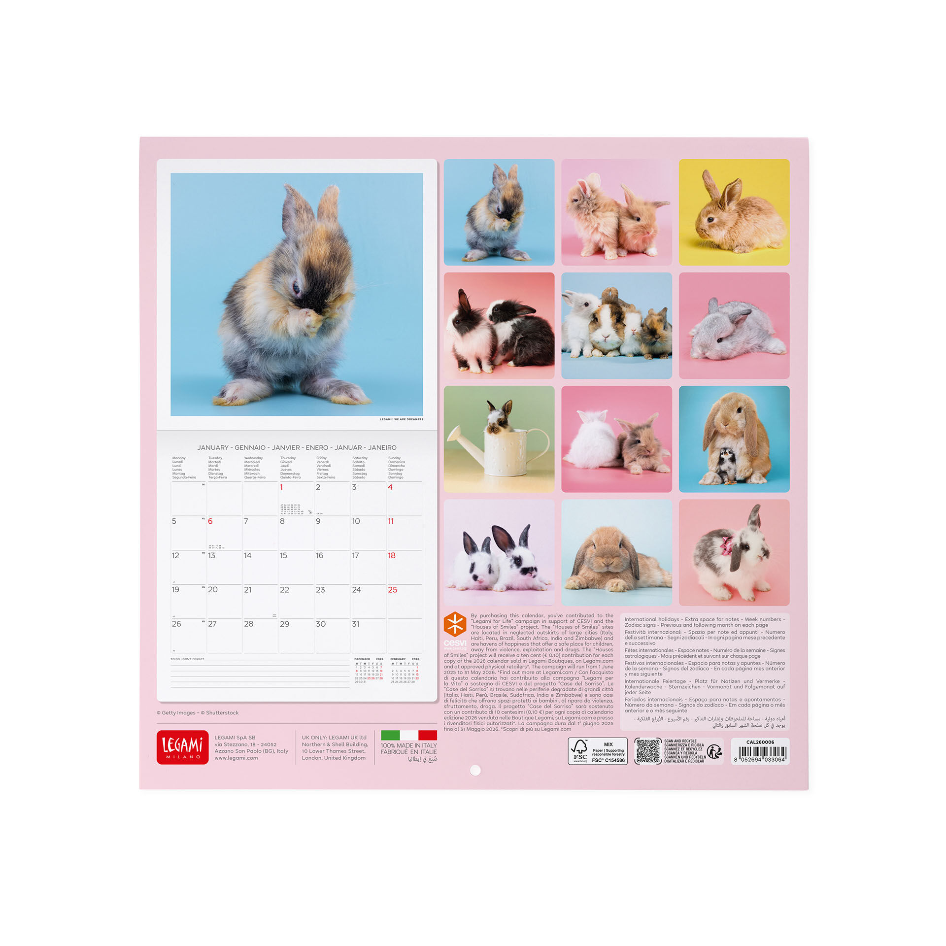 Calendrier Mural 2026 – 12 Mois 27x21 Cm – Illustrations Animaux – Fabriqué En France, Certification PEFC - 3