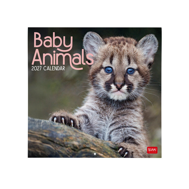 Calendario da Parete 2027 - 30 x 29 cm - Baby Animals Calendario da Parete 2027 - 30 x 29 cm - Baby Animals