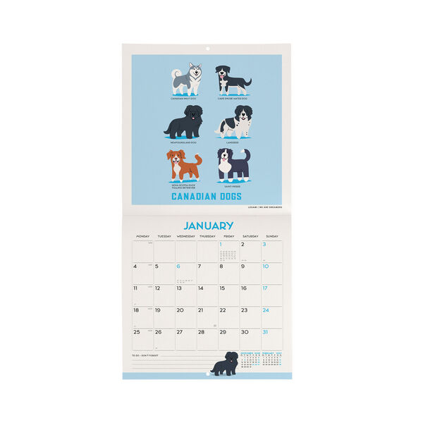 Calendario da Parete 2027 - 18 x 18 cm - Dogs of the World