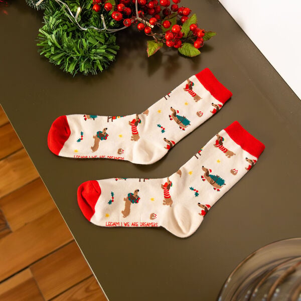 Calzini di Natale Dachshund Taglia 41-47 - It's a Match!