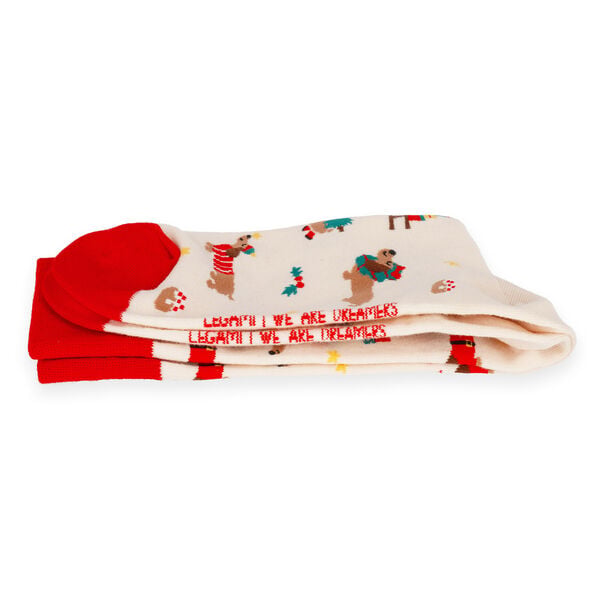 Calzini di Natale Dachshund Taglia 41-47 - It's a Match!