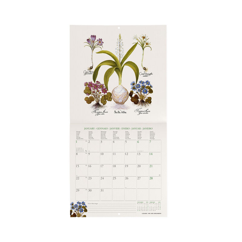 Acheter Mini calendrier de bureau, petit calendrier Floral de