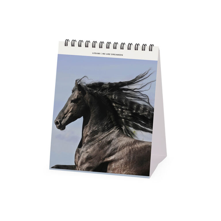 Calendario da Tavolo 2027 - 12 x 14,5 cm - Wild Horses Calendario da Tavolo 2027 - 12 x 14,5 cm - Wild Horses