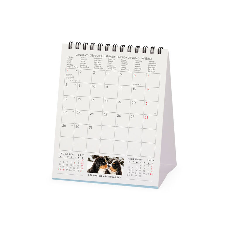 Piccolo Calendario Da Scrivania 2024 - Gen.2024 - Dic.2024, Mini Calendario  Mensile Da Tavolo Con Stand Con 12 Foto Di Cuccioli Carini, Carta  Premium-rosa