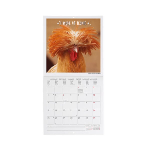 Calendario da Parete 2027 - 18 x 18 cm - Take It Easy