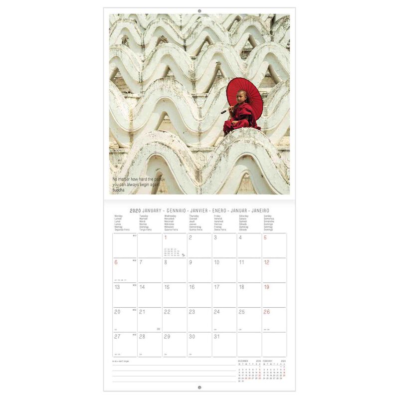 2021 - Wall Calendar - 18X18 Cm, , zoo