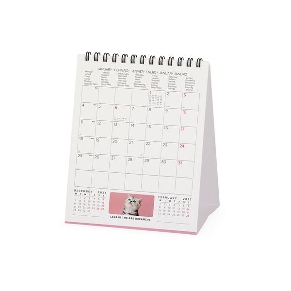 Calendario da Tavolo 2027 - 12 x 14,5 cm - Kittens