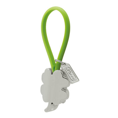 Lucky Chain Keyring