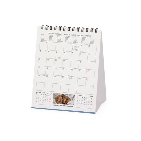 Calendario da Tavolo 2027 - 12 x 14,5 cm - Puppies