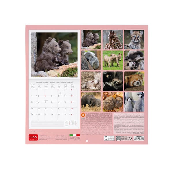 Calendario da Parete 2027 - 30 x 29 cm - Baby Animals