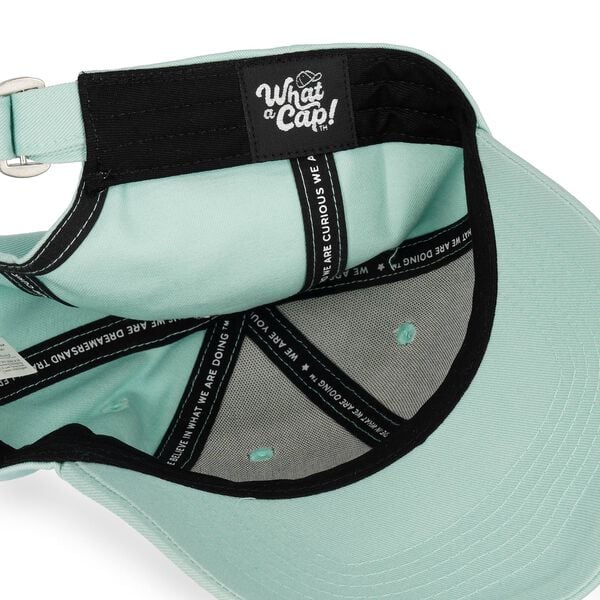 Cap - Llama - What a Cap!