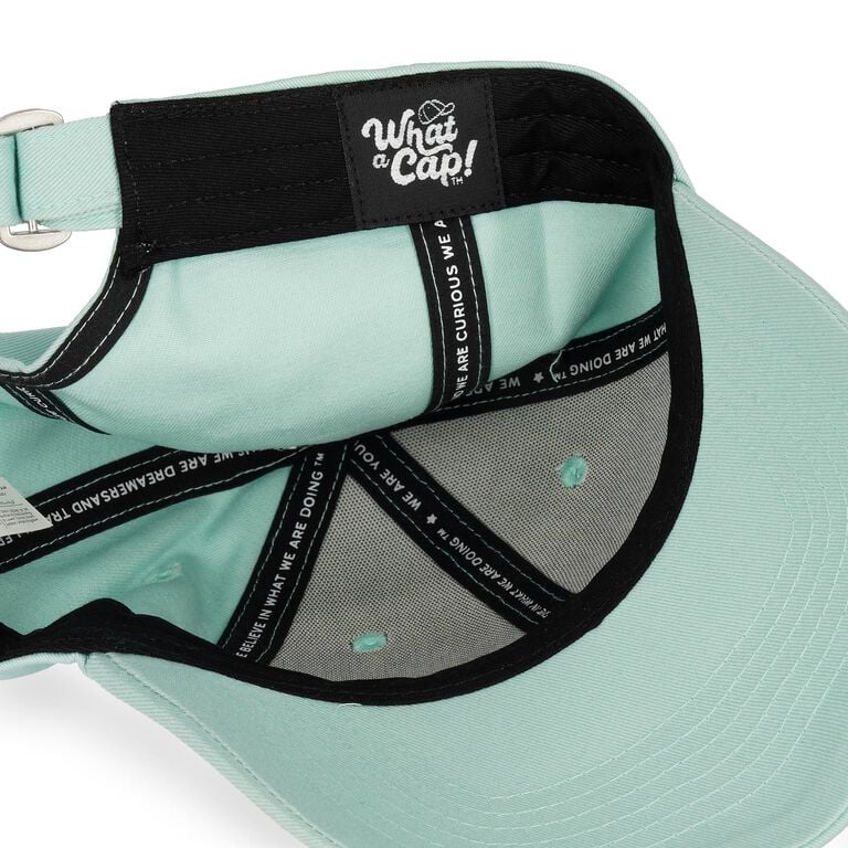 Llama Cap - What a Cap!