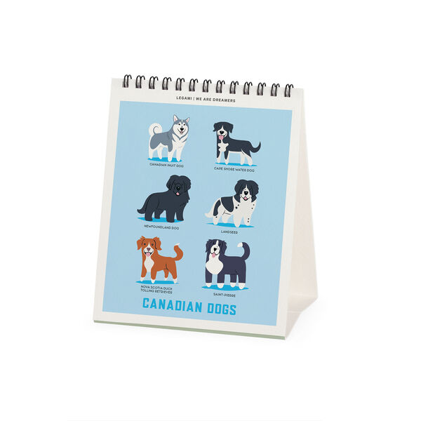 Calendario da Tavolo 2027 - 12 x 14,5 cm - Dogs of the World