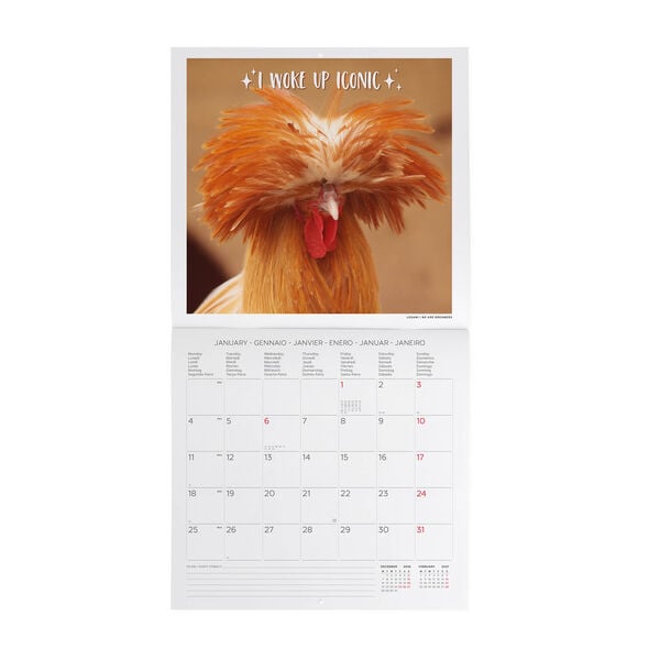 Calendario da Parete 2027 - 30 x 29 cm - Take It Easy