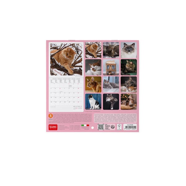 Calendario da Parete 2027 - 18 x 18 cm - Cats