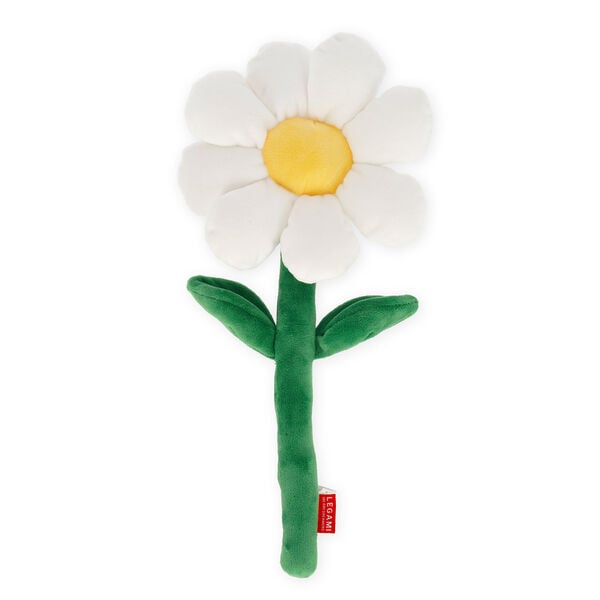Daisy Plush Bouquet - Say it with Flowers