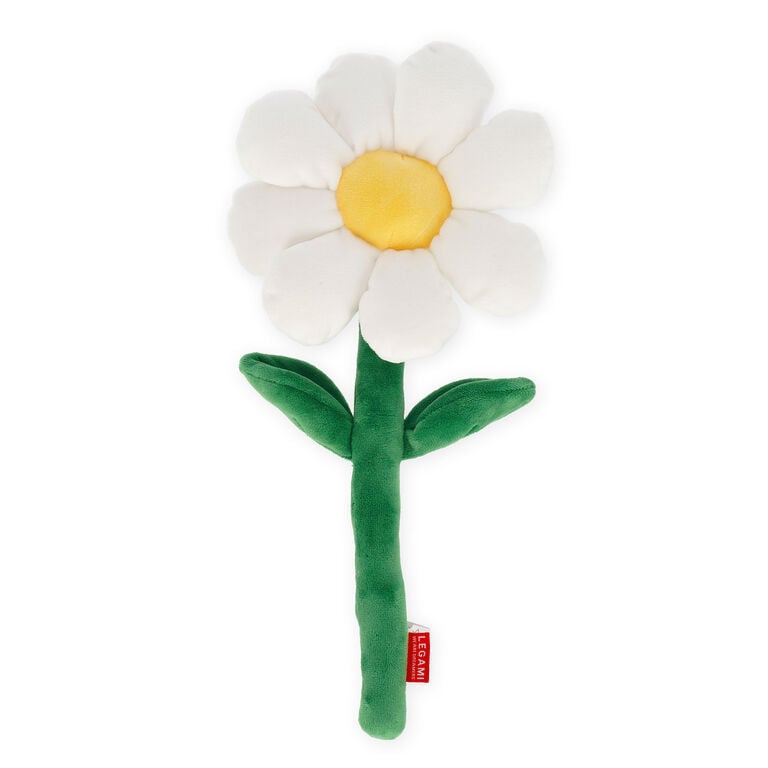 Daisy Plush Bouquet - Say it with Flowers