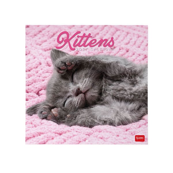 Calendario da Parete 2027 - 30 x 29 cm - Kittens