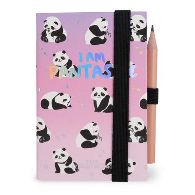12-Month 2-Day Diary - Mini - 2024