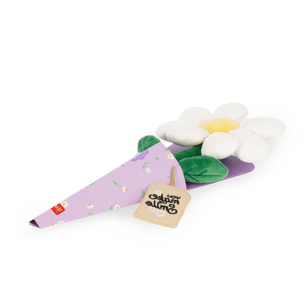 Daisy Plush Bouquet - Say it with Flowers