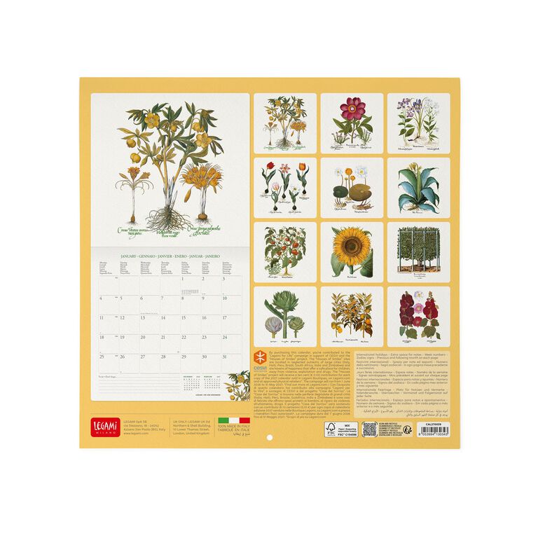 Herbarium 2027 Wall Calendar - 30 x 29 cm Herbarium 2027 Wall Calendar - 30 x 29 cm