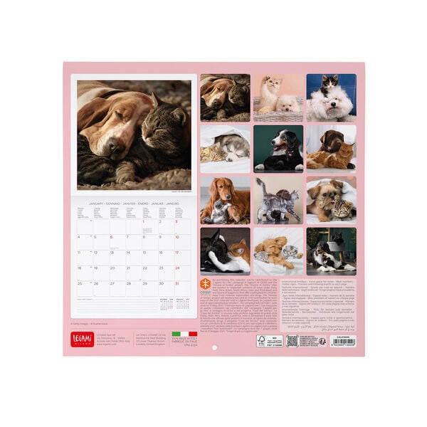 Calendario da Parete 2027 - 30 x 29 cm - Best Friends