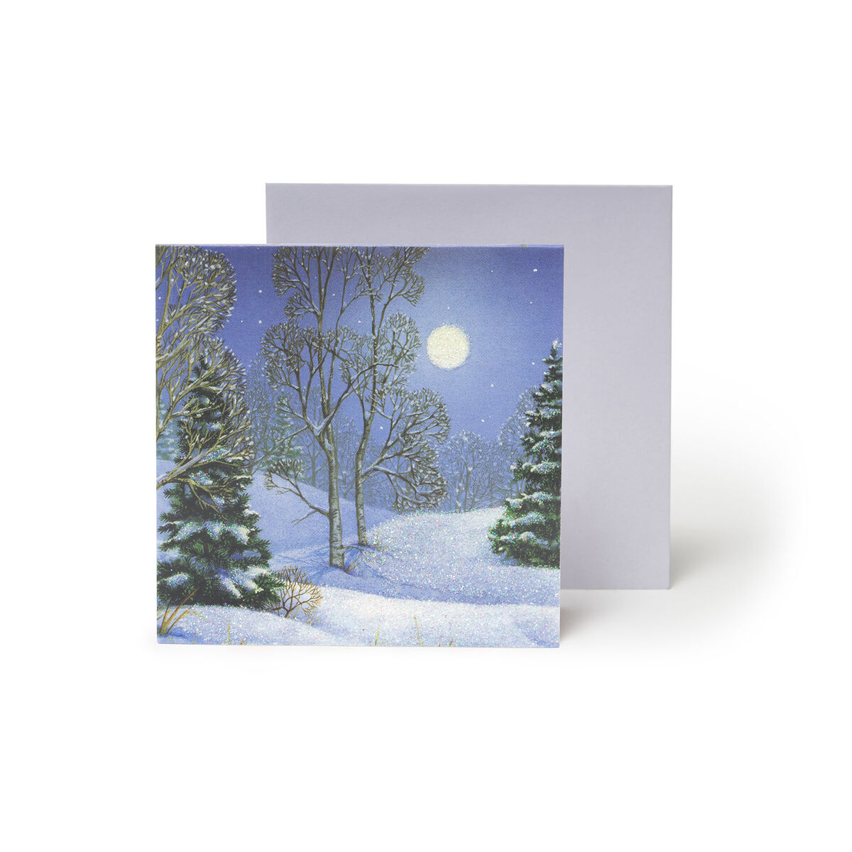 Christmas Pop Up Greeting Card - Small, , zoo