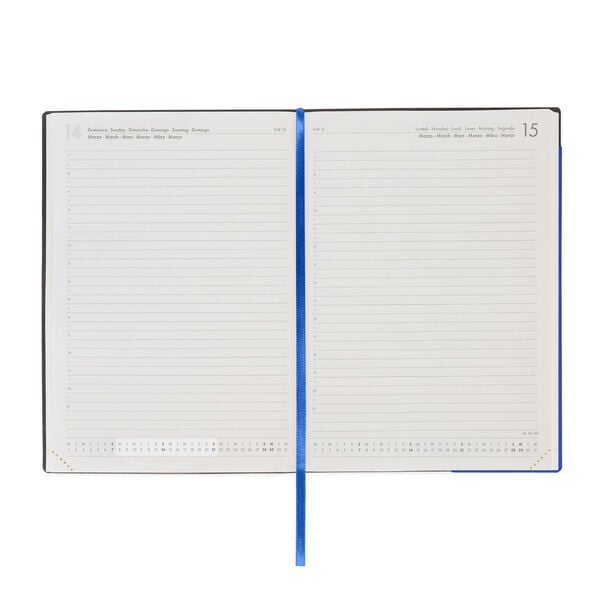 Agenda 12 Mesi Giornaliera Large 2027 - Eclectic Blue