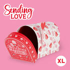 Geschenkschachtel Extralarge - Love Mailbox, , zoo