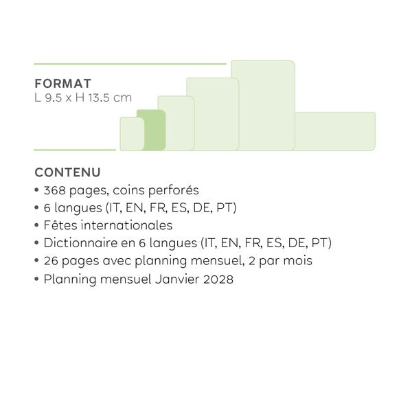 Agenda 12 Mois Journalier Small 2027 - Eclectic Blue