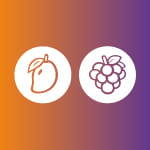ORANGE AND PURPLE ORANGE AND PURPLE