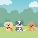 FUR EVER FRIENDS