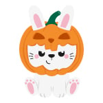 BUNNY PUMPKIN