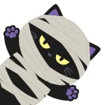 KITTY MUMMY