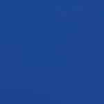 ECLECTIC BLUE