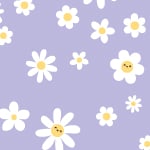DAISY LILAC