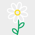 DAISY MINI