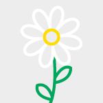 DAISY MINI DAISY MINI