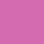 VIOLET VIOLET