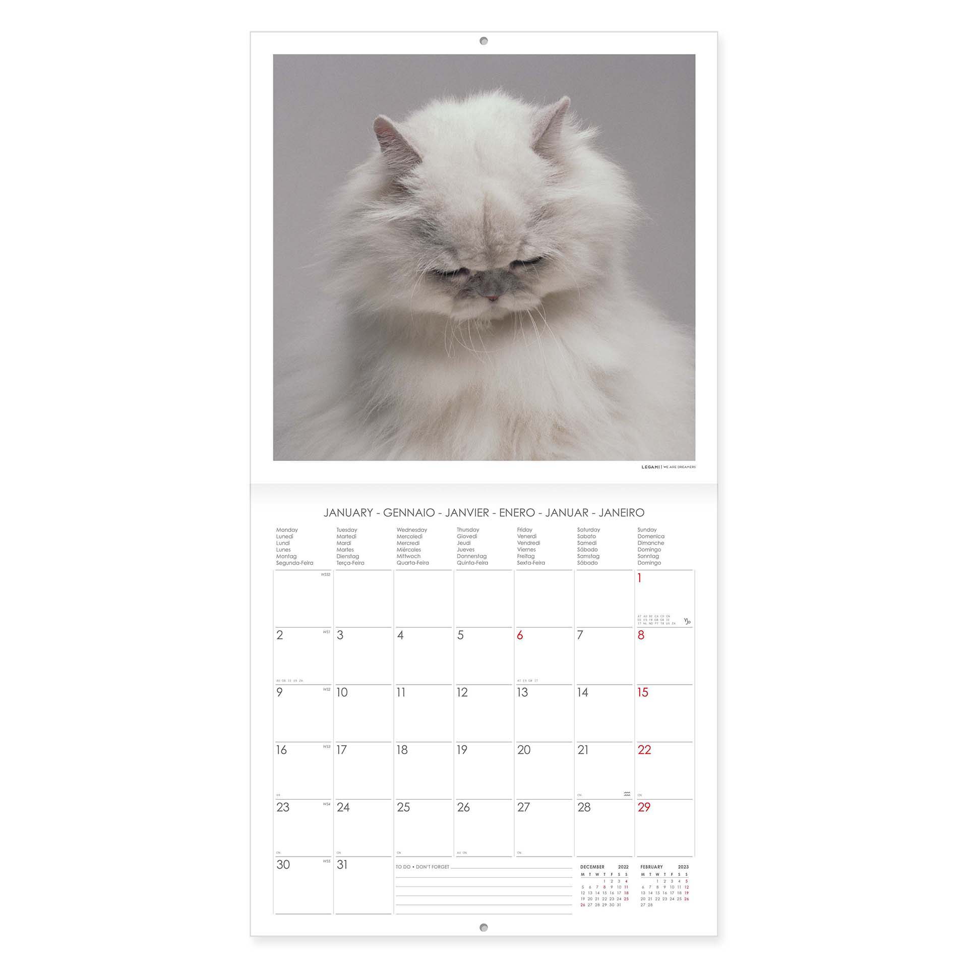 Calendrier Mural 23 30 X 29 Cm Lovely Cats Legami Com