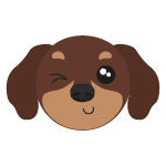 DACHSHUND DOG DACHSHUND DOG