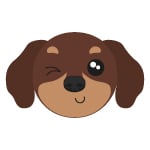 DACHSUND DOG DACHSUND DOG