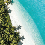 VITAMIN SEA